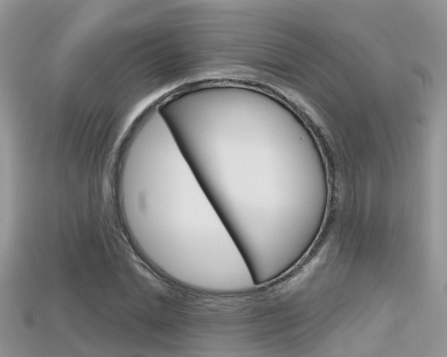 X0000115680830200911120945