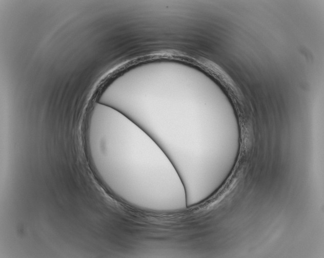 X0000115680831200911120945