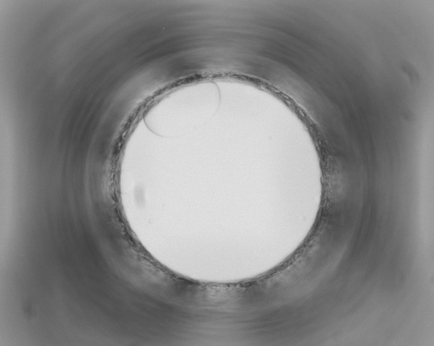 X0000115680832200911120945