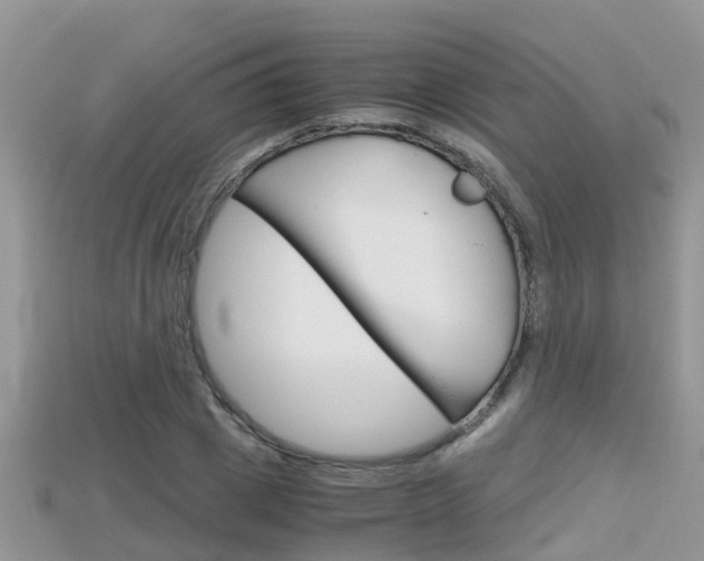 X0000115680833200911120945