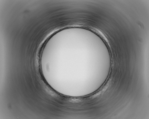 X0000115680835200911120945