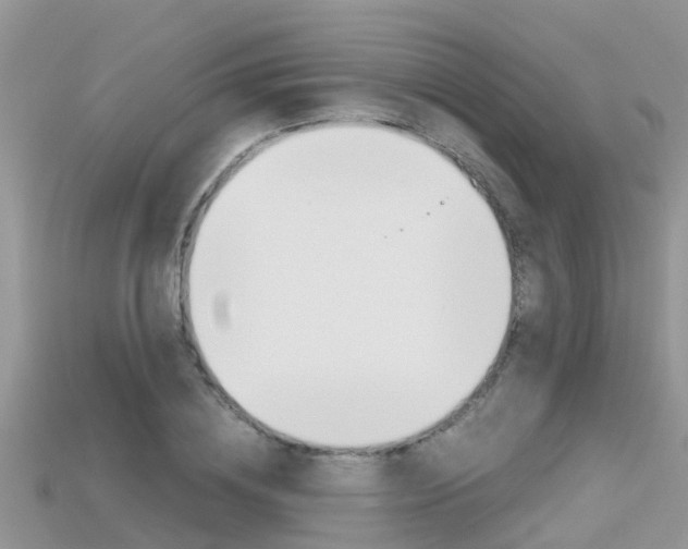 X0000115680836200911120945