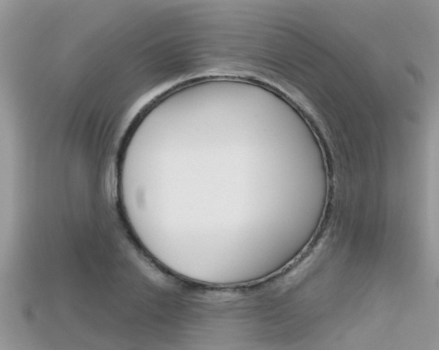 X0000115680838200911120945