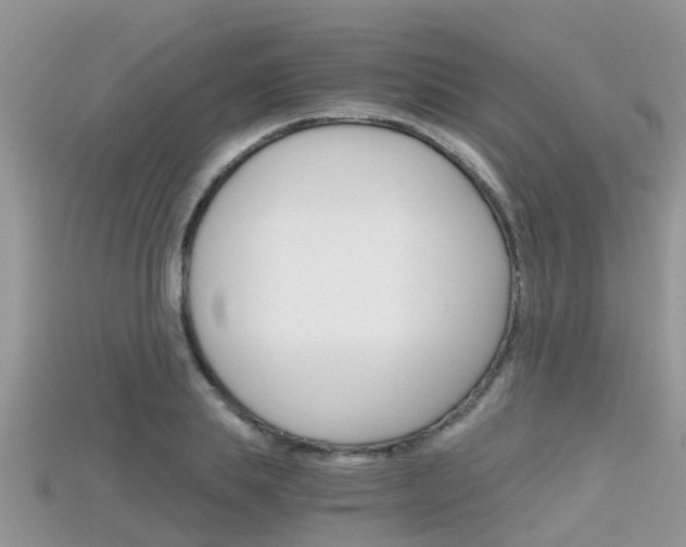X0000115680839200911120945