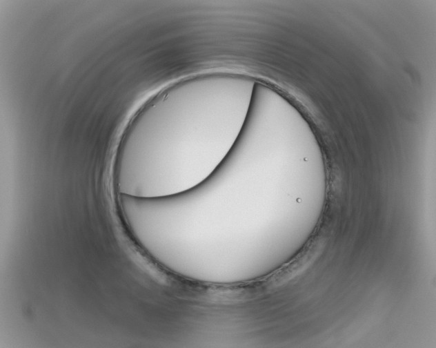 X0000115680840200911120945