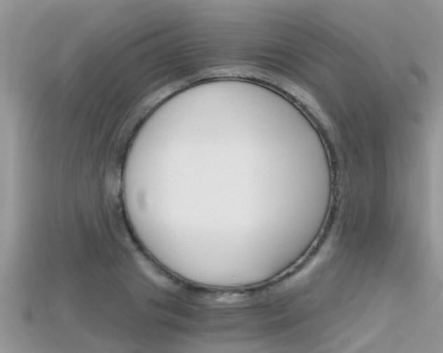 X0000115680841200911120945