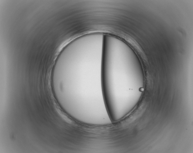 X0000115680842200911120945