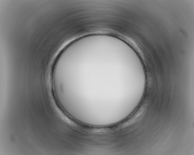 X0000115680843200911120945