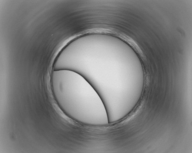 X0000115680844200911120945