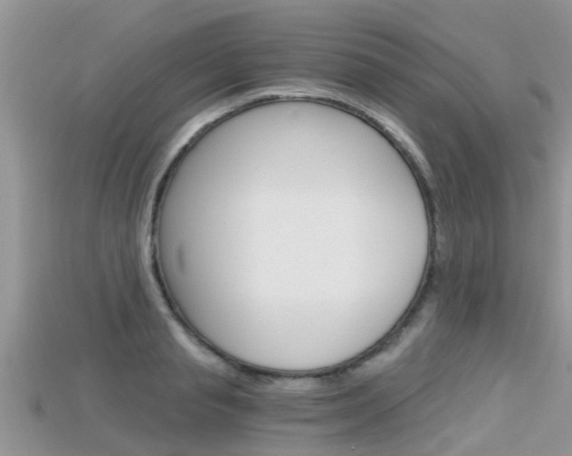 X0000115680845200911120945