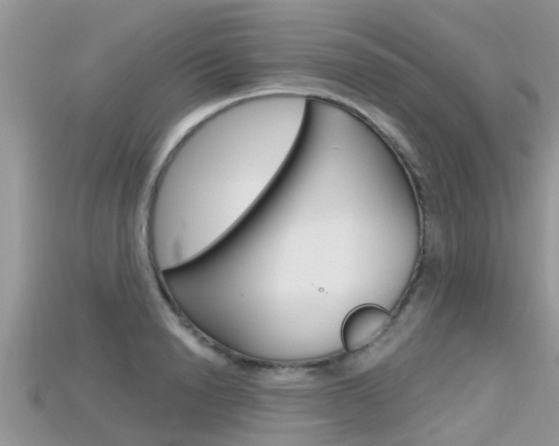 X0000115680846200911120945