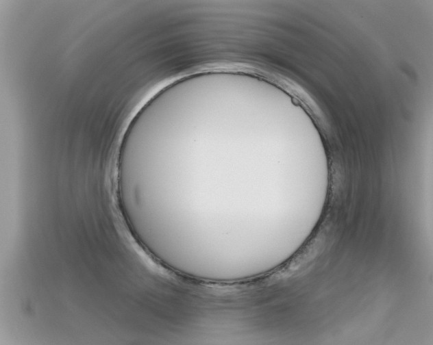 X0000115680852200911120945