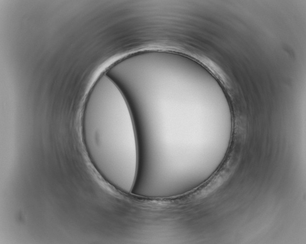 X0000115680854200911120945
