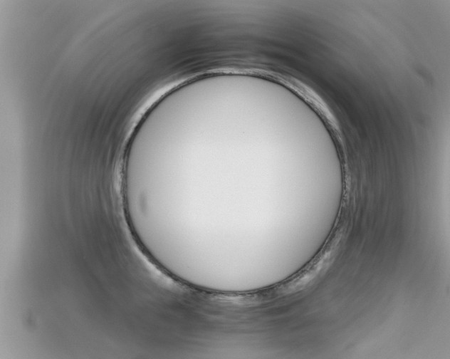 X0000115680855200911120945