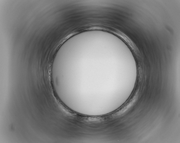 X0000115680857200911120945