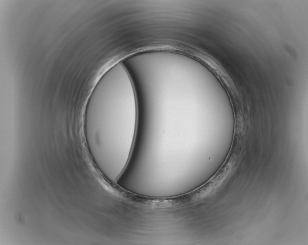 X0000115680858200911120945