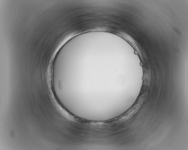 X0000115680859200911120945