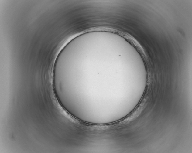 X0000115680860200911120945