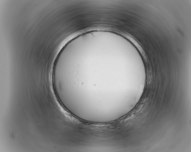 X0000115680861200911120945