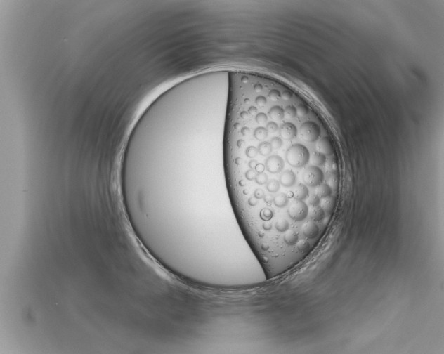 X0000115680862200911120945