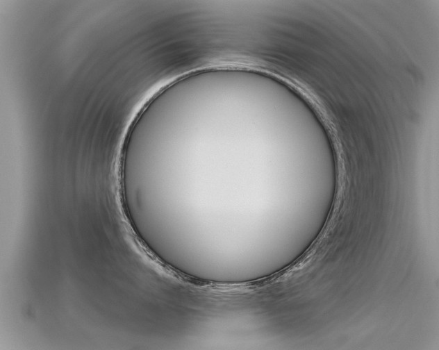 X0000115680864200911120945