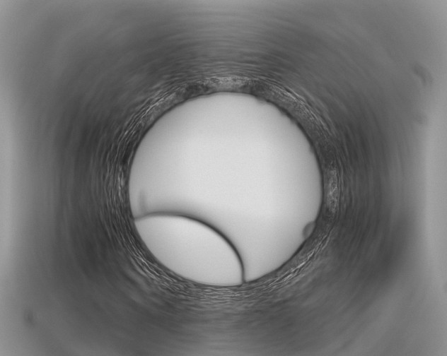 X0000115680866200911120945
