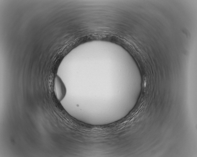X0000115680867200911120945