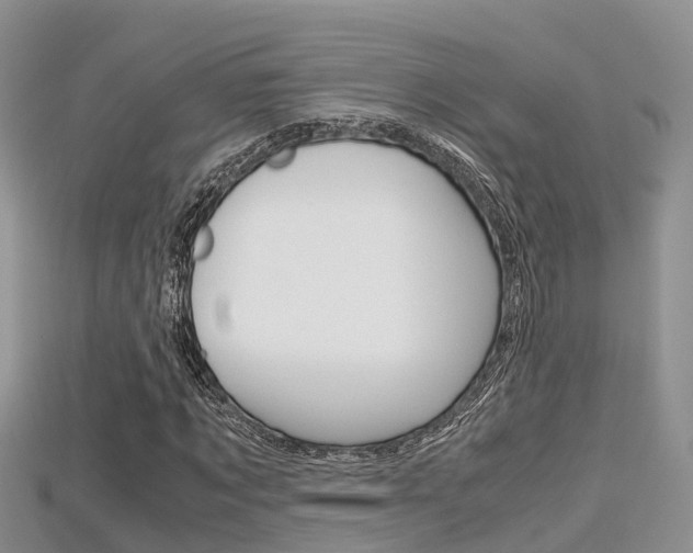 X0000115680869200911120945