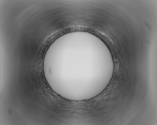 X0000115680870200911120945