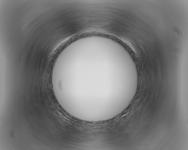 X0000115680872200911120945