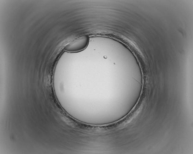 X0000115680881200911120945