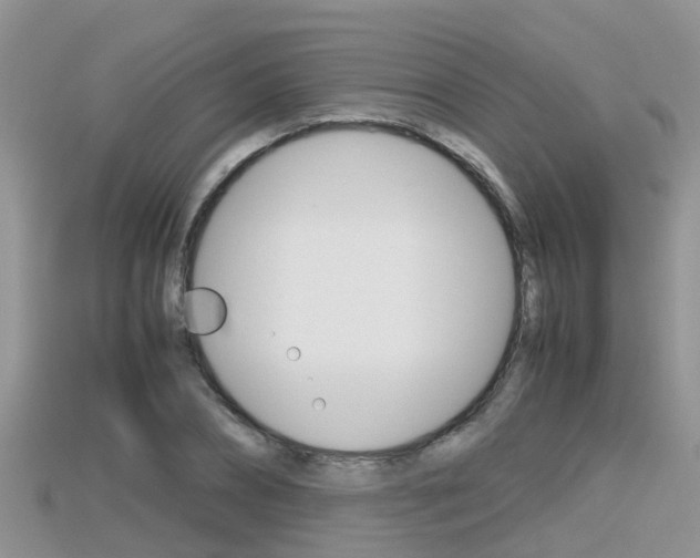 X0000115680882200911120945