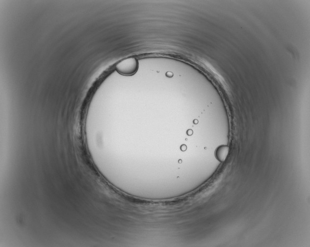 X0000115680883200911120945