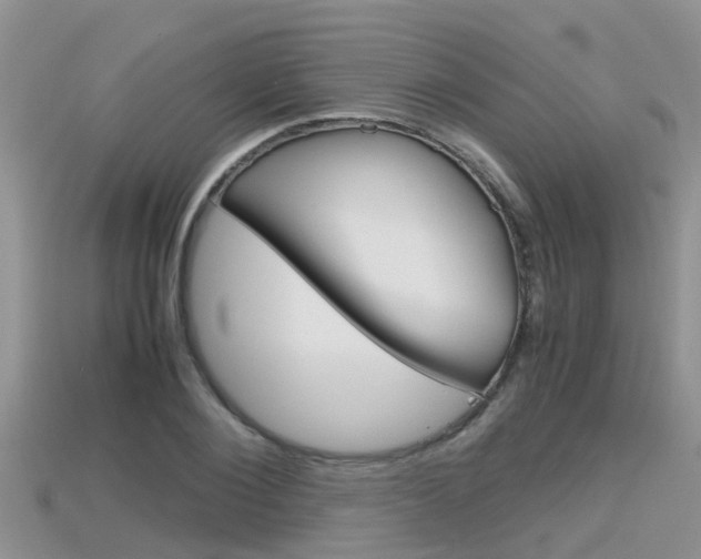 X0000115680884200911120945