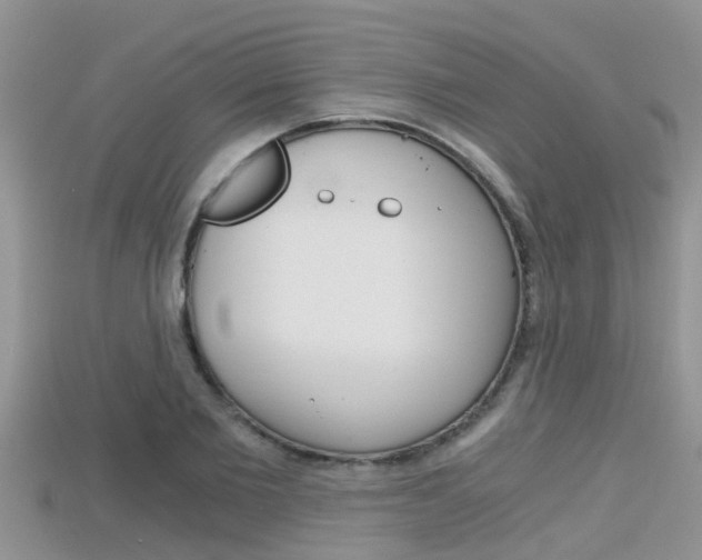 X0000115680885200911120945