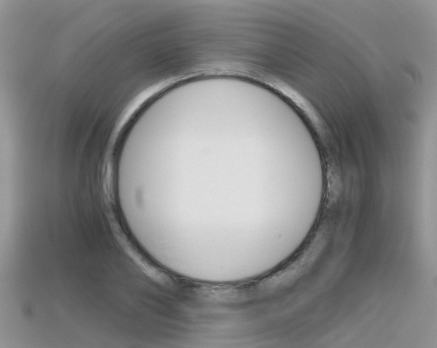 X0000115680886200911120945