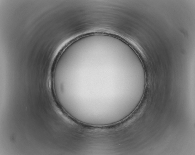 X0000115680888200911120945