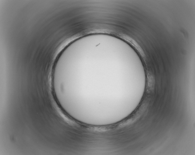 X0000115680890200911120945