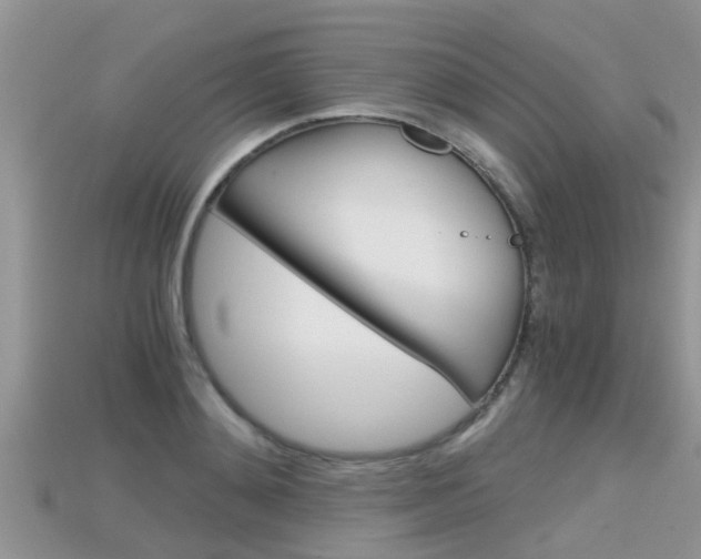 X0000115680892200911120945