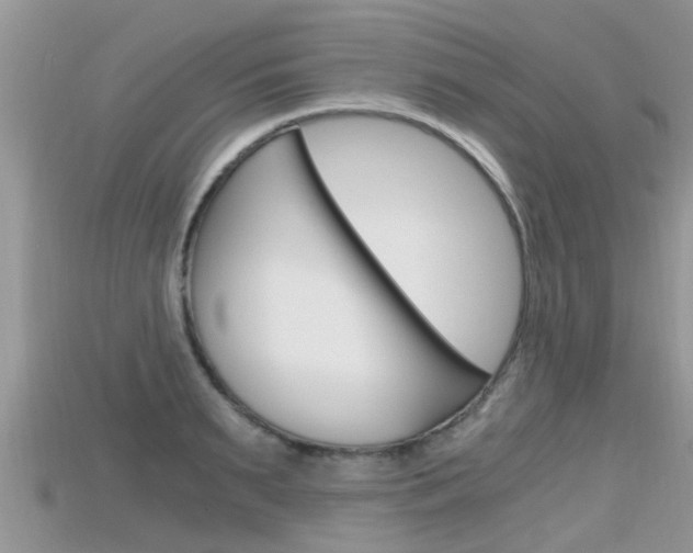 X0000115680895200911120944