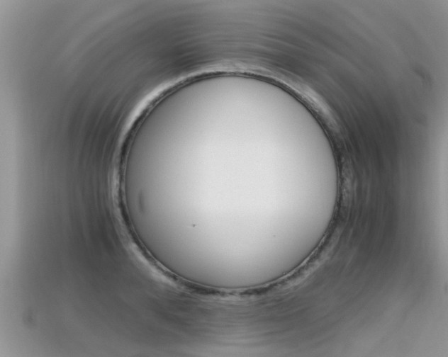 X0000115680896200911120944