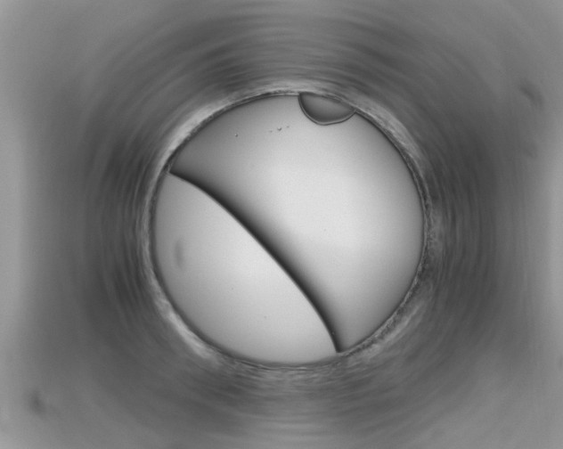 X0000115680898200911120944