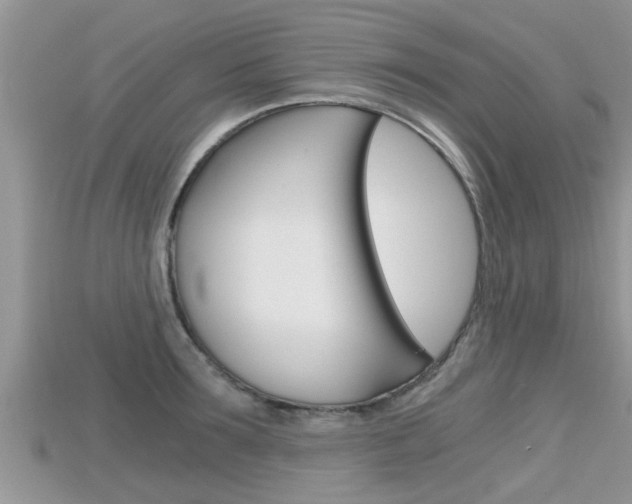 X0000115680899200911120944