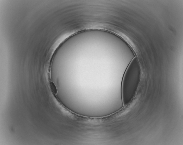 X0000115680901200911120944