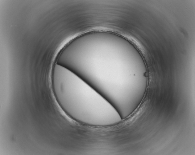 X0000115680902200911120944