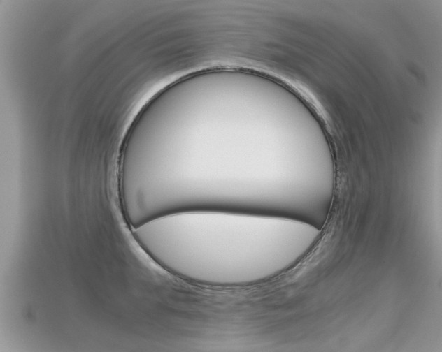 X0000115680903200911120944