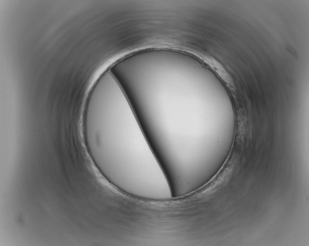 X0000115680904200911120944