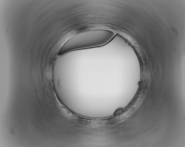X0000115680905200911120944