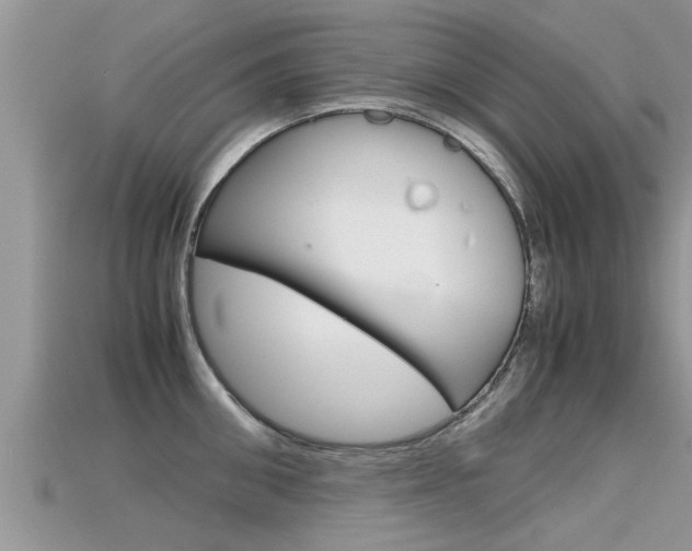 X0000115680906200911120944