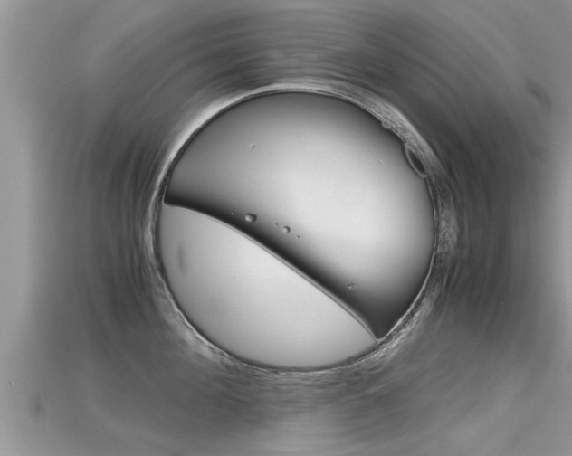 X0000115680908200911120944